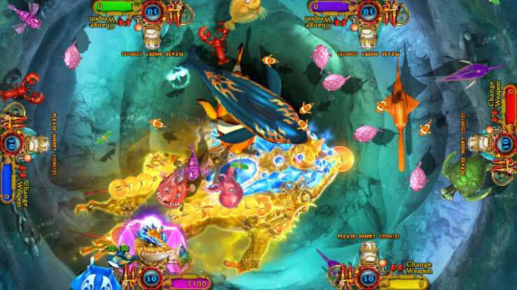 Yolo fish game